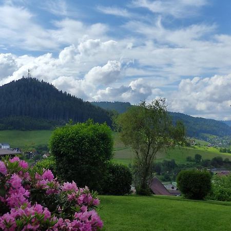 Traumblick Fewo Mit Pool Baiersbronn Esterno foto