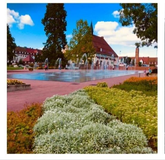 Traumblick Fewo Mit Pool Baiersbronn Esterno foto